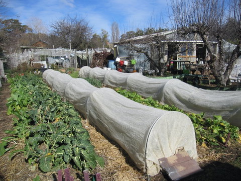 Wynlen House: Tour A Unique Urban Regenerative Farm And Market Garden - Find Attractions 0