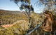 Yarrangobilly Caves – Bluff Lookout Walk - thumb 0