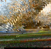 Albury - Find Attractions