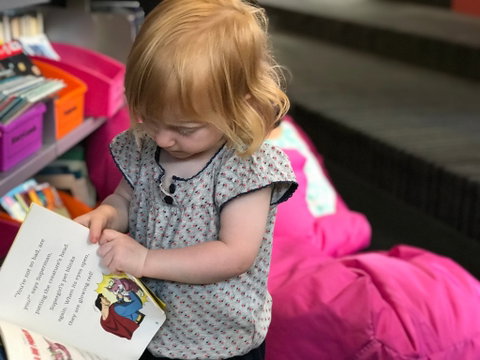Albury Library Museum - Find Attractions 2
