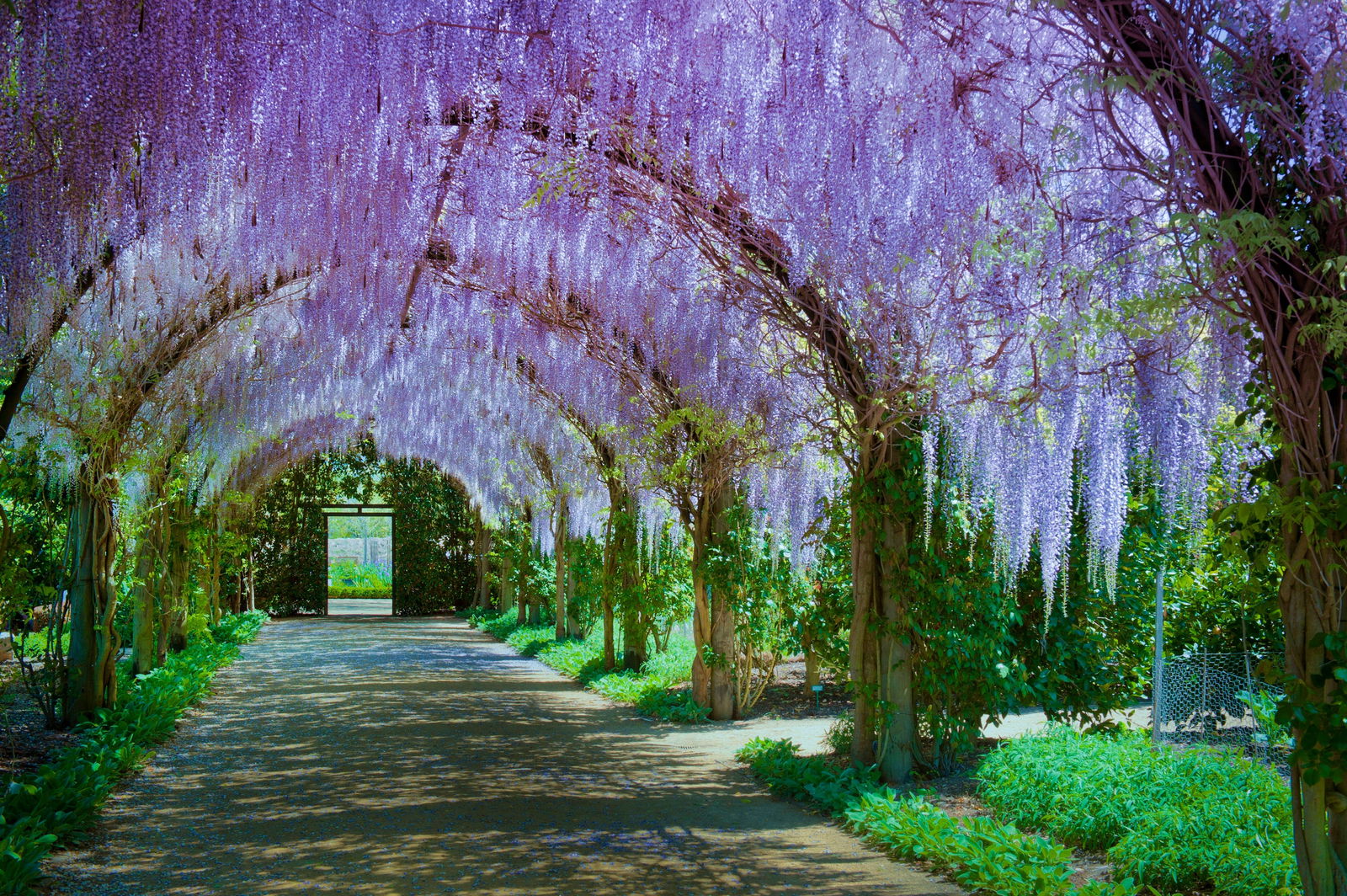 Yarra Glen VIC Find Attractions