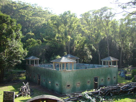 Alpha Paintball - Find Attractions 0