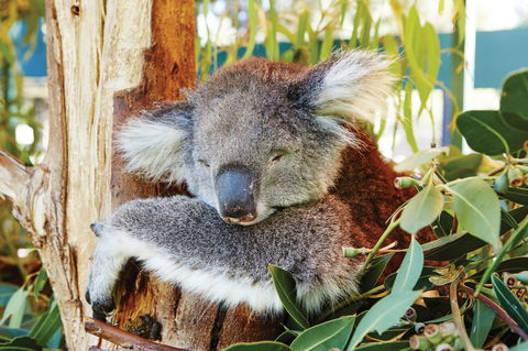 Animals And Family Fun - Find Attractions 0