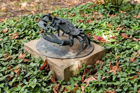 Antony Symons - Retrospective Of A Life's Work - Find Attractions 0