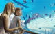 Australia's Sea World - thumb 2