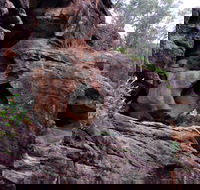 Bertha's Gully Walking Track - Find Attractions
