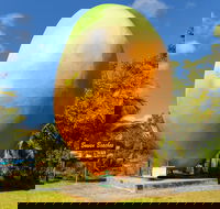 Big Mango - Find Attractions