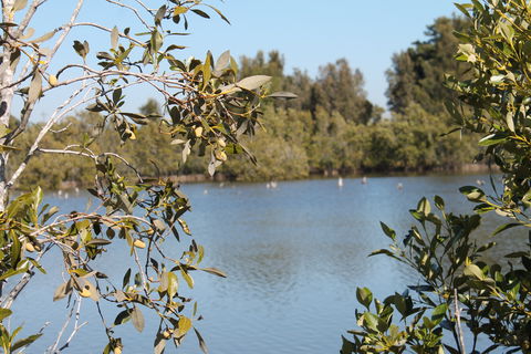 Boyters Lane Bird Hide - Find Attractions 2