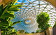 Brisbane Botanic Gardens Mount Coot-tha - thumb 0