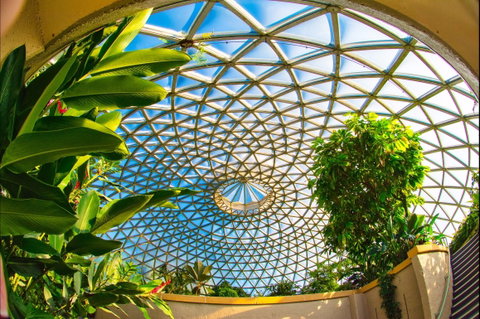 Brisbane Botanic Gardens Mount Coot-tha - Find Attractions 0
