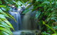 Brisbane Botanic Gardens Mount Coot-tha - thumb 1