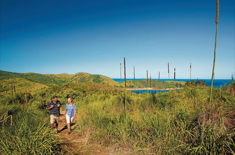 Bushwalking On Keswick Island - Find Attractions 0