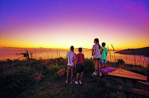 Bushwalking On Keswick Island - Find Attractions 2
