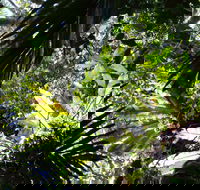 Byrrill Creek Walking Track - Find Attractions