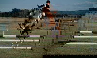 Camden Bicentennial Equestrian Park