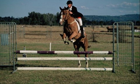Camden Bicentennial Equestrian Park - Find Attractions 0