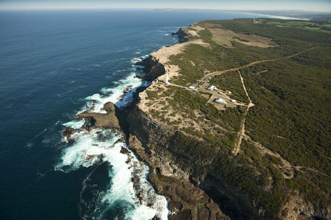 Cape Nelson State Park - Find Attractions 1