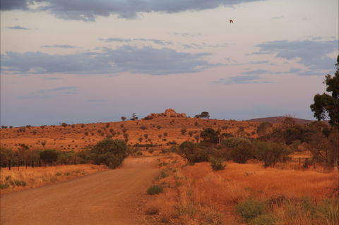 Castle Rock Walk And Lookout - Find Attractions 0