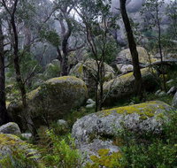 Cathedral Rock Track - Find Attractions