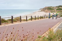 Coast to Vines Rail Trail