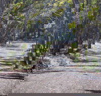 Coolah Tops National Park - Find Attractions