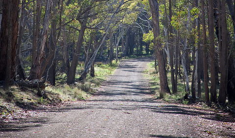 Coolah Tops National Park - Find Attractions 0
