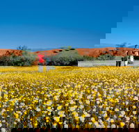 Coorow Farm Wildflower Trail - Find Attractions