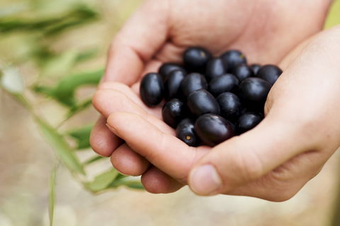 Eat, Pick, Grow Trail - Wanneroo And Chittering - Find Attractions 0