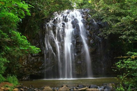 Ellinjaa Falls - Find Attractions 0