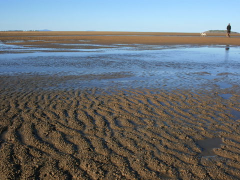 Far Beach - Find Attractions 1
