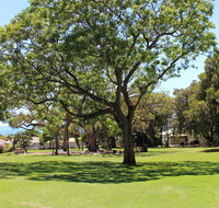 Flinders Park Playground - Find Attractions