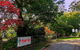George Tindale Memorial Gardens - thumb 0