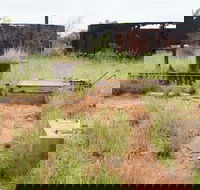 Ghans Bore No7 Govt Bore - Find Attractions