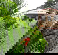 Gully Gardens - Find Attractions