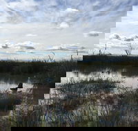 Gwydir Wetlands Moree - Find Attractions