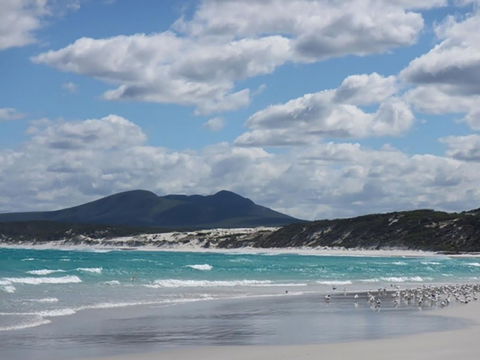 Hakea Walk Trail, East Fitzgerald National Park - Find Attractions 0