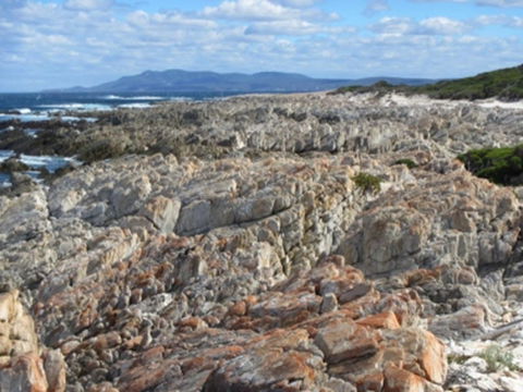 Hakea Walk Trail, East Fitzgerald National Park - Find Attractions 1