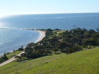 Historical Reeves Point Walk