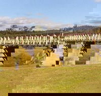 Historic Tabulam DeBurgh Timber Bridge - Find Attractions