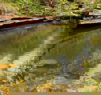 Hominy Creek Walking Track - Find Attractions
