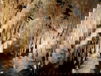 Jillabenan Cave