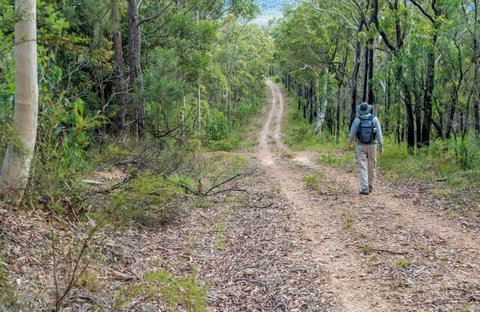 Kangaroo River Walking Track - Find Attractions 0
