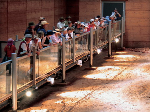 Lark Quarry Conservation Park - Find Attractions 0