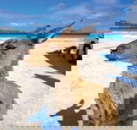 Lucky Bay - Find Attractions