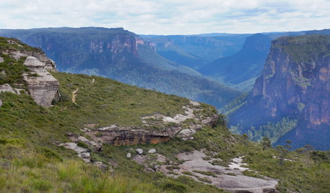 Mount Hay - Find Attractions 1