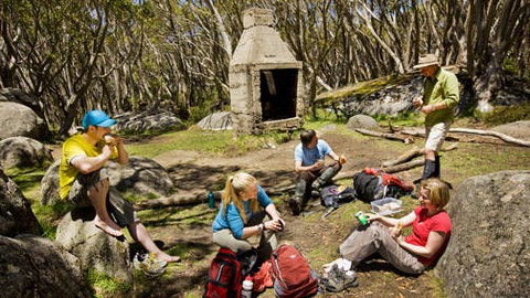 Mt Baw Baw - Find Attractions 0