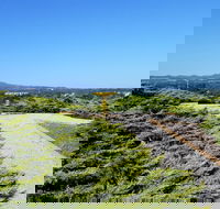 Mt Lindsay Rotary Park - Find Attractions