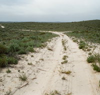 Ngarkat Conservation Park - Find Attractions