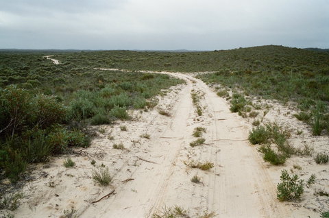 Ngarkat Conservation Park - Find Attractions 0