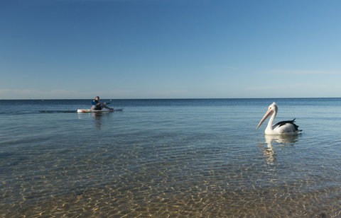 North Beach - Find Attractions 1